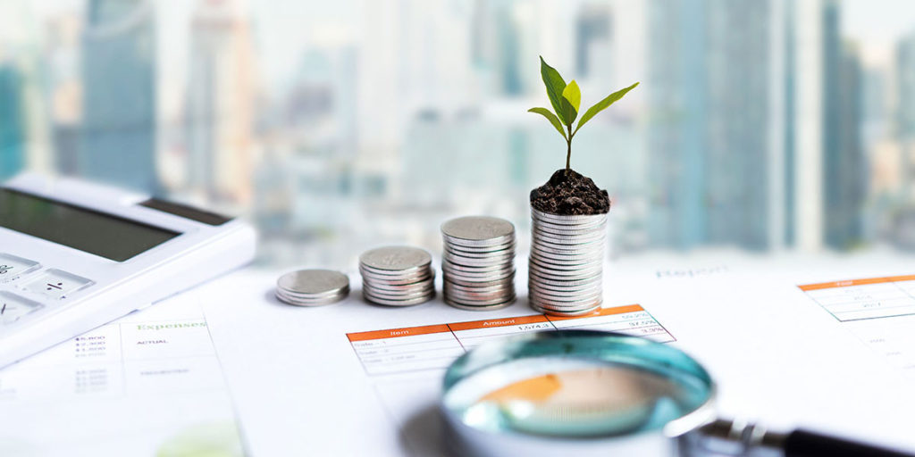 The Tree  Growing On Money Coin Stack For Investment,  Business