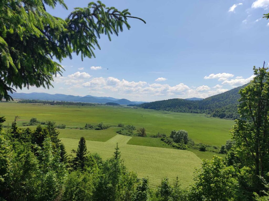 agro_zemlja_gozd