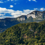 Scenatičen pogled na gorski masiv s prehajajočimi oblaki in razgibanimi vrhovi, prekrit z gostimi gozdovi.
