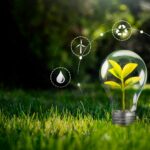 Rastlina, ki raste znotraj žarnice na zeleni travi, obdana z ikonami krožnega gospodarstva in trajnostne energije.