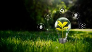 Rastlina, ki raste znotraj žarnice na zeleni travi, obdana z ikonami krožnega gospodarstva in trajnostne energije.